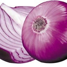 山东逸乐农副产品加工厂 脱水大蒜、大蒜、洋葱及其他农副产品的专业加工与供应