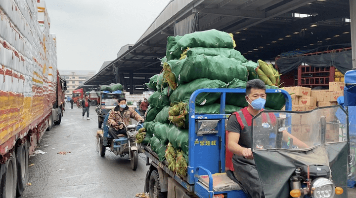 杭州农副产品物流中心蔬菜保供措施实地探访