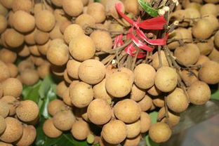 龙眼送赠，情意深长——浅析赠送龙眼的象征意义