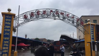 衡阳市西园农副产品批发大市场债权问题分析 农副产品流通环节的金融风险与应对策略