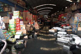 上海一淤泥处理场围墙倒塌致农副产品市场被淹，应急处置工作展开